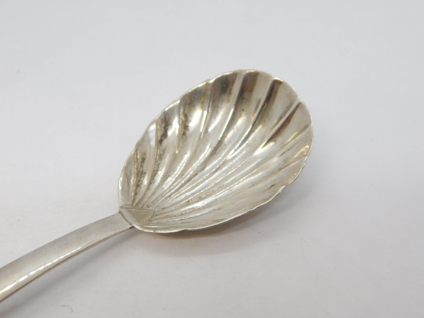 George IV Sterling Silver Shell Bowl Tea Caddy Spoon Antique 1822 London
