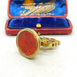 Intaglio Family Crest Heraldry Carnelian Seal Fob Pendant Antique Georgian c1820