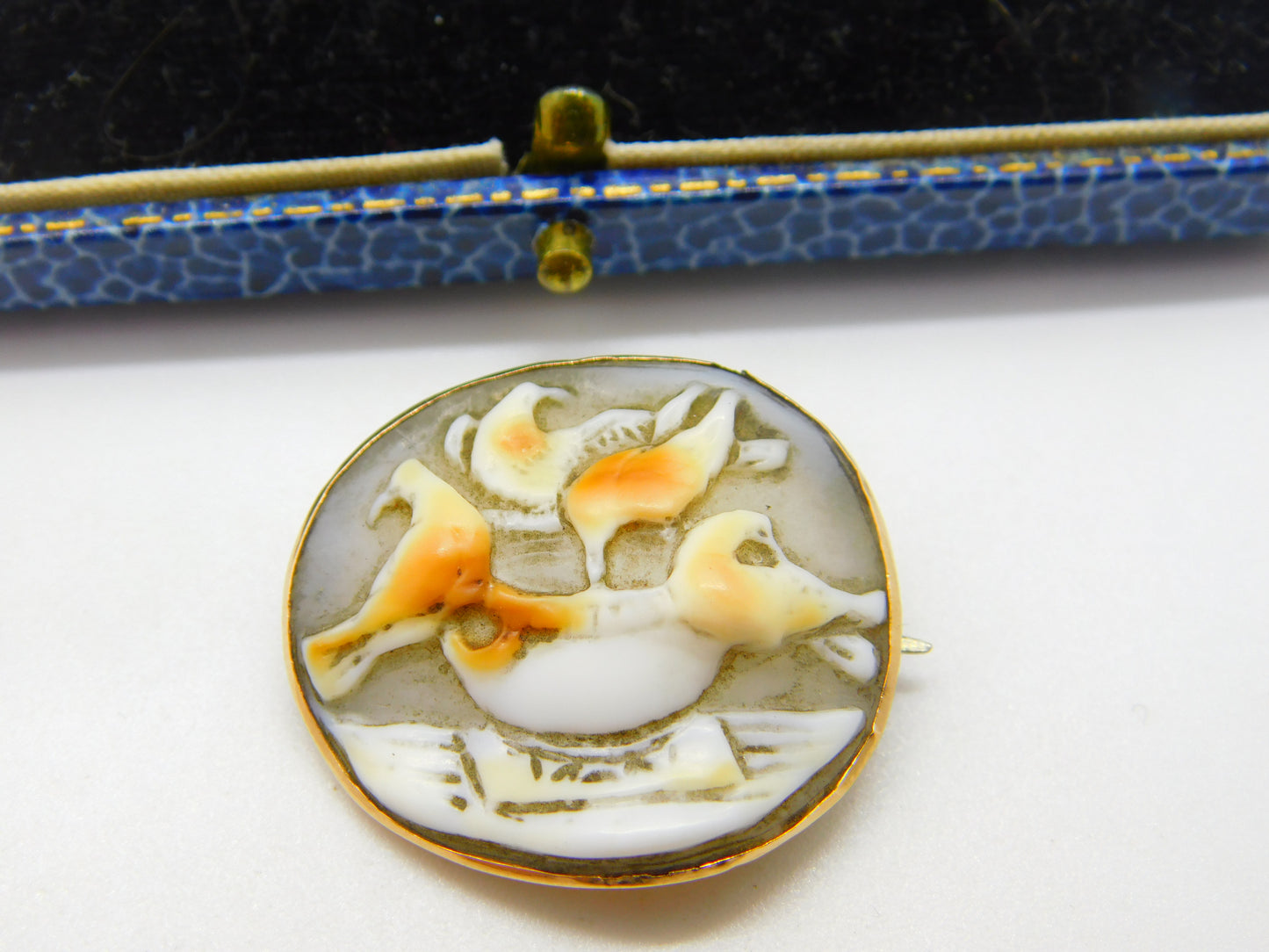 Georgian Rose Gold & Carved Shell 'Doves of Pliny' Cameo Brooch Antique c1790