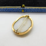Georgian Rose Gold & Carved Shell 'Doves of Pliny' Cameo Brooch Antique c1790