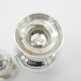 Georgian Sterling Silver Muffineer Caster 1773 London Robert Peaston Antique