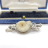Edwardian Sterling Silver Ammonite Fossil Sweetheart Brooch Antique 1902 Chester