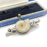 Edwardian Sterling Silver Ammonite Fossil Sweetheart Brooch Antique 1902 Chester