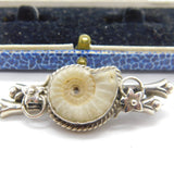 Edwardian Sterling Silver Ammonite Fossil Sweetheart Brooch Antique 1902 Chester