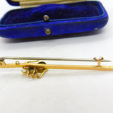 Edwardian 9ct Yellow Gold, Blue Topaz Set Spider or Bug Brooch c1910 Antique