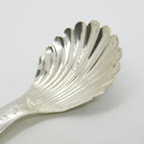 William IV Sterling Silver Bright Cut Tea Caddy Spoon Antique 1832 Birmingham