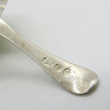 George III Sterling Silver Regal Crest Tea Caddy Spoon Antique 1801 London