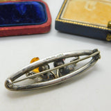 Scottish Sterling Silver, Bloodstone & Agate Thistle Brooch Antique 1925 Deco