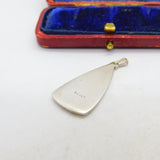 Sterling Silver Colourful Enamel Swan on Water Drop Pendant c1970 Vintage