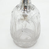 19th Century Silver Plated Etched Glass Lion & Swan Claret Jug Antique c1860
