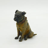 Victorian Cold Painted Cast Vienna Bronze Bulldog Figure Ornament Antique c1860