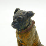 Victorian Cold Painted Cast Vienna Bronze Bulldog Figure Ornament Antique c1860