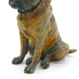 Victorian Cold Painted Cast Vienna Bronze Bulldog Figure Ornament Antique c1860