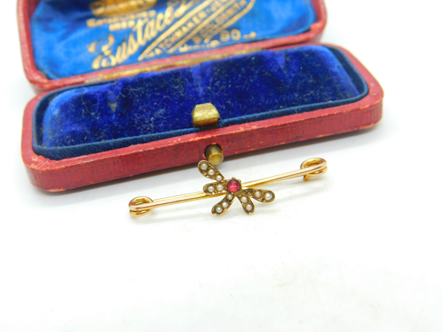 Edwardian 9ct Yellow Gold, Seed Pearl & Garnet Dragonfly Brooch Antique c1910