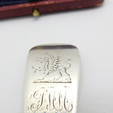 Georgian Irish Provincial Cork Sterling Silver Tea Caddy Spoon Crested c1820 WS