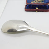 Georgian Irish Provincial Cork Sterling Silver Tea Caddy Spoon Crested c1820 WS