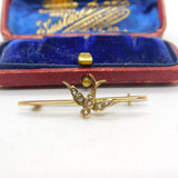 Edwardian 9ct Yellow Gold Seed Pearl Set Swallow Brooch 1909 Chester Antique