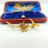 15ct Yellow Gold Wishbone Form Insect Bug Brooch With Pearl & Garnet Edwardian