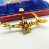 15ct Yellow Gold Wishbone Form Insect Bug Brooch With Pearl & Garnet Edwardian