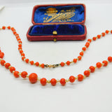 Victorian 9ct Gold Clasp Graduated Coral & Pearl Beaded Necklace Antique c1860