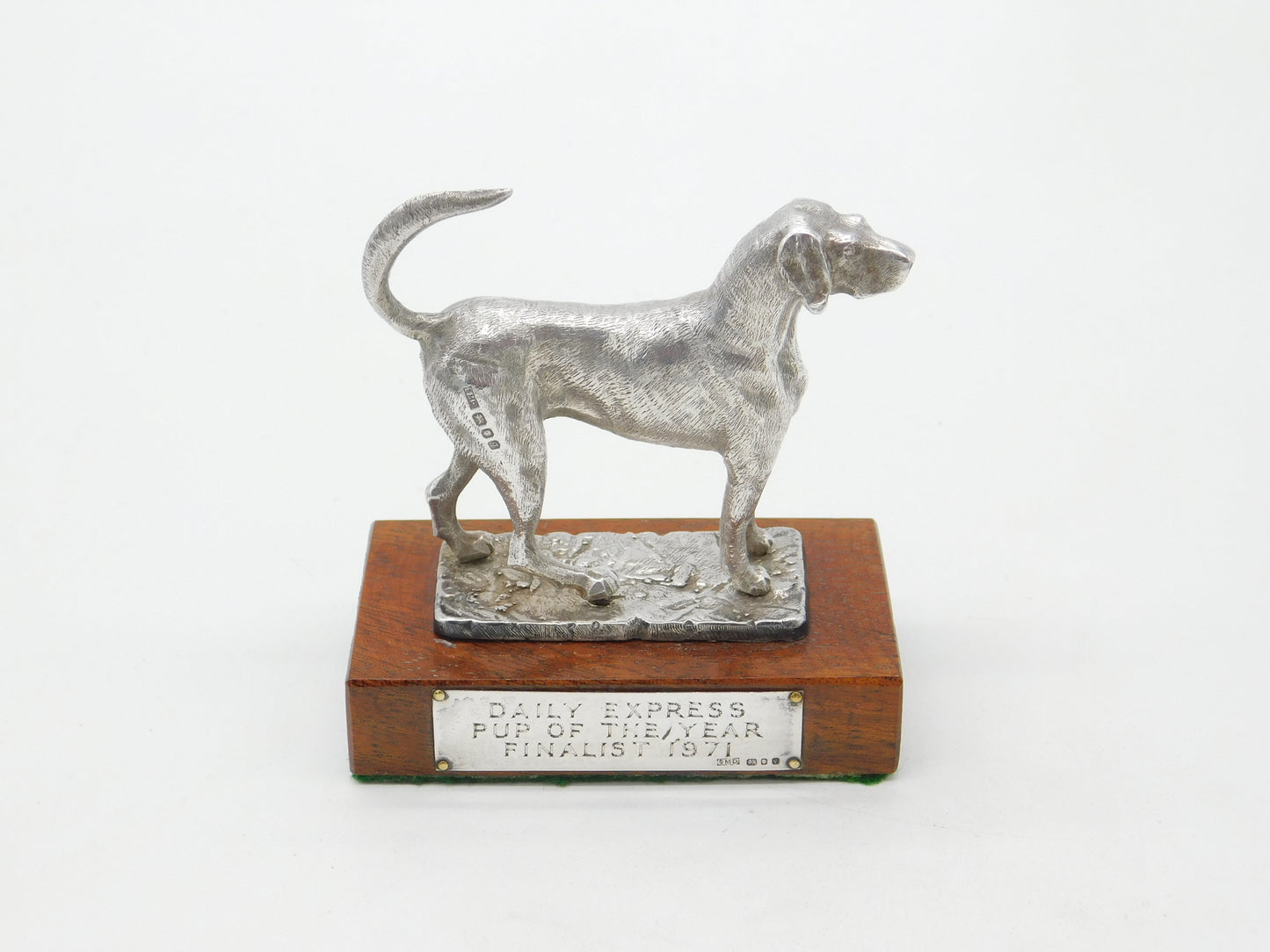 Cast Sterling Silver 'Daily Express Pup of the Year 1971' Trophy Vintage London