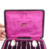 Victorian Boxed Sterling Silver Apostle Teaspoon & Tongs Set Antique 1893 Birmingham