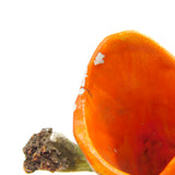 Victorian Staffordshire Flat Back Horse & Hound Figure Group Antique c1850