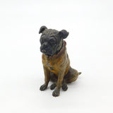 Cold Painted Vienna Bronze Dog Bulldog Figurine Antique Victorian c1880