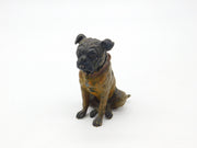 Cold Painted Vienna Bronze Dog Bulldog Figurine Antique Victorian c1880