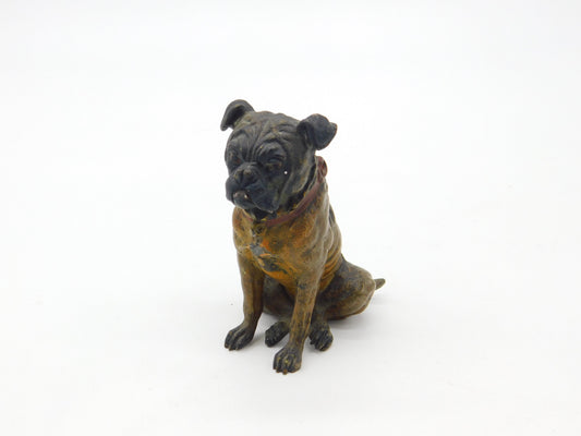 Cold Painted Vienna Bronze Dog Bulldog Figurine Antique Victorian c1880