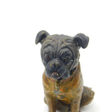 Cold Painted Vienna Bronze Dog Bulldog Figurine Antique Victorian c1880