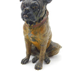 Cold Painted Vienna Bronze Dog Bulldog Figurine Antique Victorian c1880