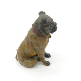 Cold Painted Vienna Bronze Dog Bulldog Figurine Antique Victorian c1880