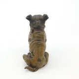 Cold Painted Vienna Bronze Dog Bulldog Figurine Antique Victorian c1880