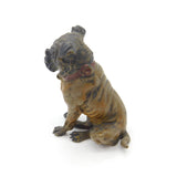 Cold Painted Vienna Bronze Dog Bulldog Figurine Antique Victorian c1880