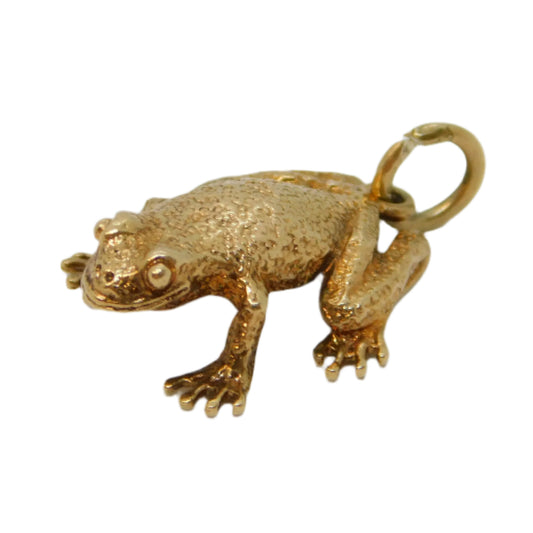 Gold frog pendant on a white background