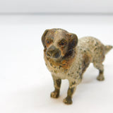 19th Century Cold Painted Vienna Bronze Sheep Dog Figurine Antique c1860