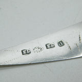 Scottish Provincial Dundee Sterling Silver Ladle Spoon Edward Livingstone c1820