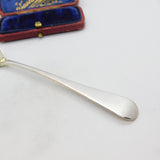 Bristol Georgian Sterling Silver Mustard Spoon 1818 William Woodman Antique