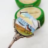 Edwardian Sterling Silver Enamel Falkland Islands Souvenir Spoon Antique 1909 Chester