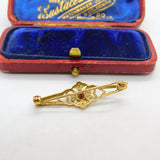 9ct Yellow Gold, Garnet & Diamond Floral Brooch Vintage 1969 London