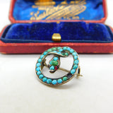 German .800 Silver & Pave Set Turquoise Coiled Snake Brooch Antique c1920 Deco