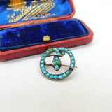 German .800 Silver & Pave Set Turquoise Coiled Snake Brooch Antique c1920 Deco