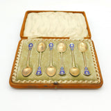 Boxed Victorian Set of Sterling Silver Gilt & Enamel Teaspoons Antique