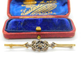 Victorian 9ct Gold Floral Brooch with 0.5ct Rose Cut Diamonds Antique c1860