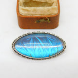 Sterling Silver Morpho Butterfly Wing Dress Brooch Antique c1920 Art Deco
