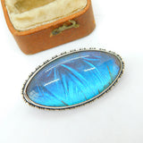 Sterling Silver Morpho Butterfly Wing Dress Brooch Antique c1920 Art Deco