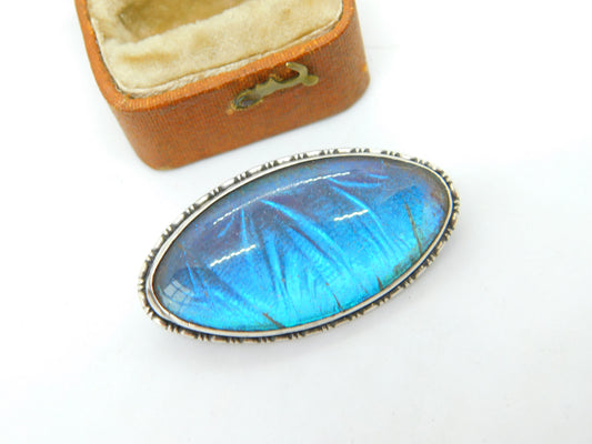 Sterling Silver Morpho Butterfly Wing Dress Brooch Antique c1920 Art Deco