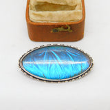 Sterling Silver Morpho Butterfly Wing Dress Brooch Antique c1920 Art Deco
