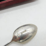 Edwardian Boxed Sterling Silver Apostle Teaspoon Set Antique 1906 Sheffield